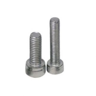 Stainless Steel Bolts M5